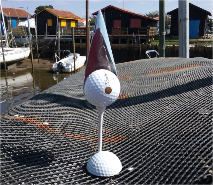 Couteau design pommeau en Balle de Golf